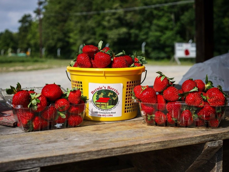 A Bernie's Berries basket and quarts of fresh strawberries on the farm stand table