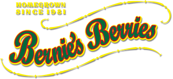 Bernie’s Berries, homegrown since 1981